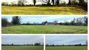 'More please!' Auctioneer seeks more land in Kildare after big price is fetched 