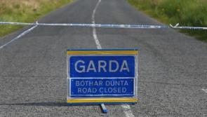 Gardaí issue witness appeal following fatal road traffic collision near Kildare-Dublin border