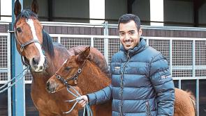 PICTURES: Qatar Racing put multi-million euro stud farm in Ireland up for auction