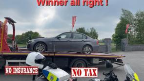No insurance, tax, NCT for driver at Kildare's Punchestown Races