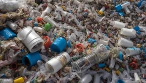  Irish adults admit to flushing these items down toilet