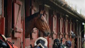€251k stables planned for The Curragh, Kildare
