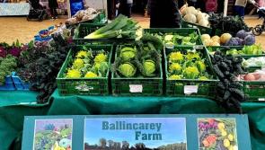 Great news as Naas Farmers' Market receives agri-tourism funding 