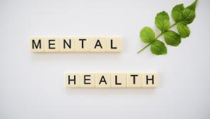 Kildare County Council urged to support suicide prevention training event