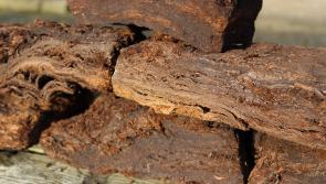 Environmental Protection Agency (EPA) calls on KCC to clamp down on illegal peat harvesters in Kildare