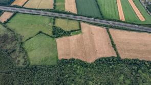 Land beside M7 on Kildare border going for big price 

