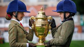 Kildare people getting ready for Dublin Horse Show 