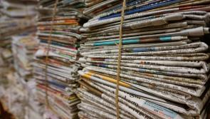 Read all about it! Kildare Wildlife Rescue seeks newspaper donations for its patients 