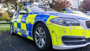 Kildare Gardaí in stolen car chase after attempted burglary 