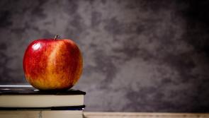 Classroom overcrowding is failing children with additional needs – Kildare South TD