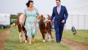 Thousands of Kildare people heading to Ploughing Championships next month
