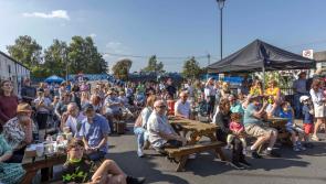 Annual canalside festival takes place this weekend in Kildare