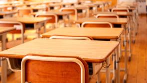 UPDATED: Solidarity expressed in Kildare for striking school secretaries and caretakers