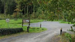 Alzheimer Society of Ireland to host Memory Walk in Kildare woods