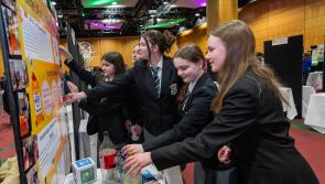 Young people in&nbsp;Kildare&nbsp;invited to join the Young Environmentalist Awards (YEA)