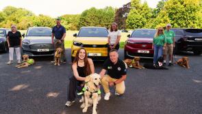 Take a test drive in Kildare and change a life