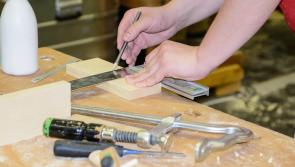 Kildare MEP highlights importance of Men's and Women's Sheds in the county