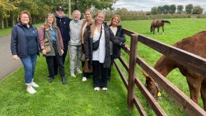 Popular Swedish radio show visits Kildare