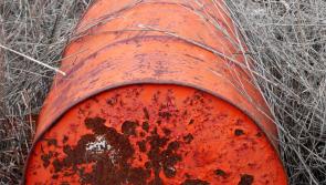 'Toxic waste' dumped in private lands adjacent to this well-known Kildare beauty spot