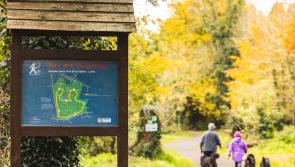 Kildare’s Donadea Forest Park and Mullaghreelan Wood among Top 20 most visited Coillte recreational parks