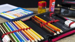 'Dozens' of Kildare South families left without a suitable school place for 2025/2026 - TD
