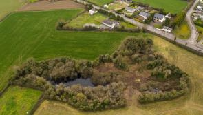 Quarry on Kildare border is part of plan for 46 houses 