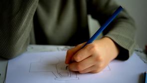 Confusion over Assessment of Need (AON) reform 'unacceptable' – Kildare South TD