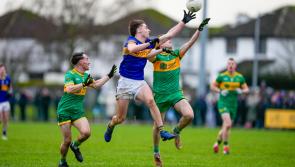 GALLERY: All-Ireland Junior Club Football semi-final: Kildare's Grangenolvin v Kerry's Ballymacelliggott in Rathkeale