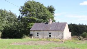 Cheapest in Kildare? Cottage on half acre is 7 mins from M7 or M9