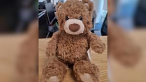 'Safety concerns' raised about  popular Shein toy that 'should not' be sold in Ireland