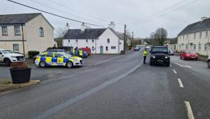 Kildare gardai in joint operation targeting unlawful hunting, trespass