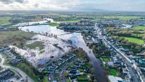 'Dismay' at River Barrow flooding in Kildare and other counties