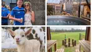 "Goat Sauna"  - quirky Kildare business goes viral 