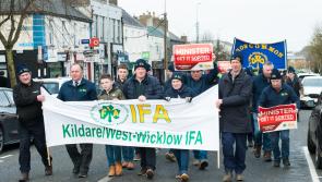 Kildare minister welcomes end of sit-in protest at Bord Bia following promise of review