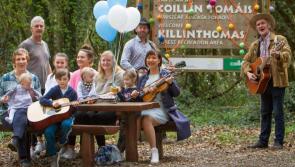Final preparations for Kildare woodland's Bluebells and Buskers