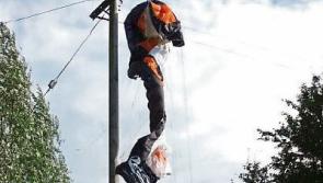 Lucky escape for paraglider pilot after collision with Kildare power lines