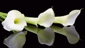 Deaths in Kildare - Wednesday, June 27, 2018