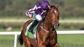 Saxon Warrior and Dee Ex Bee lead Saturday's Irish Derby field at the Curragh