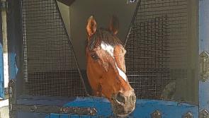 Coolmore and Godolphin's fierce flat racing rivalry to be reignited at Saturday's Irish Derby