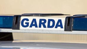 Jewellery worth &euro;2000 stolen from Kildare home