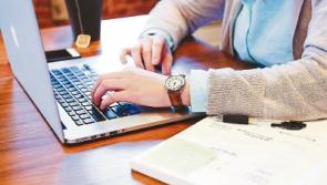 Number of Kildare companies grows, according to CSO