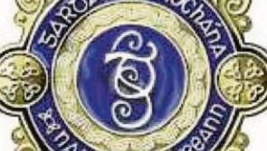Man found wandering in and out of gardens in Naas