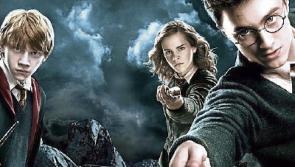 Harry Potter day taking place at Maynooth library