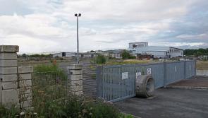 Derelict Naas industrial sites must be developed