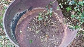 Ancient pot could be link to Kildare's famine and Quaker past
