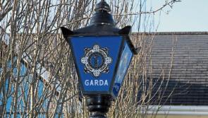 Cash stolen from Nurney home