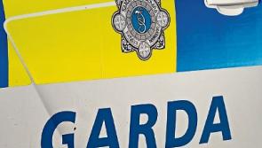 Theft of expensive jewellery during burglary at Kildare home