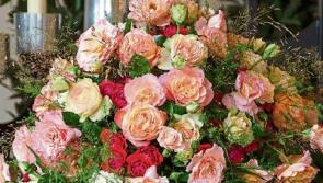 Deaths in Co. Kildare - August 24, 2018