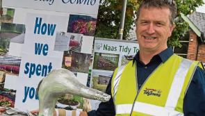 KILDARE: Volunteers are needed for Naas Tidy Towns
