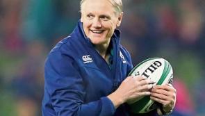 Bumper lots on offer at Horse Racing Ireland charity auction with Joe Schmidt